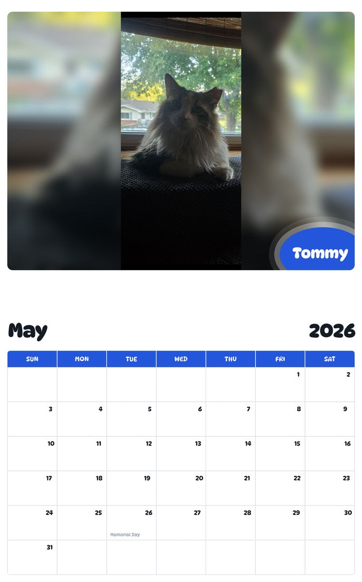 2026 - 2027 Tommy - Pawidols Pet Calendar