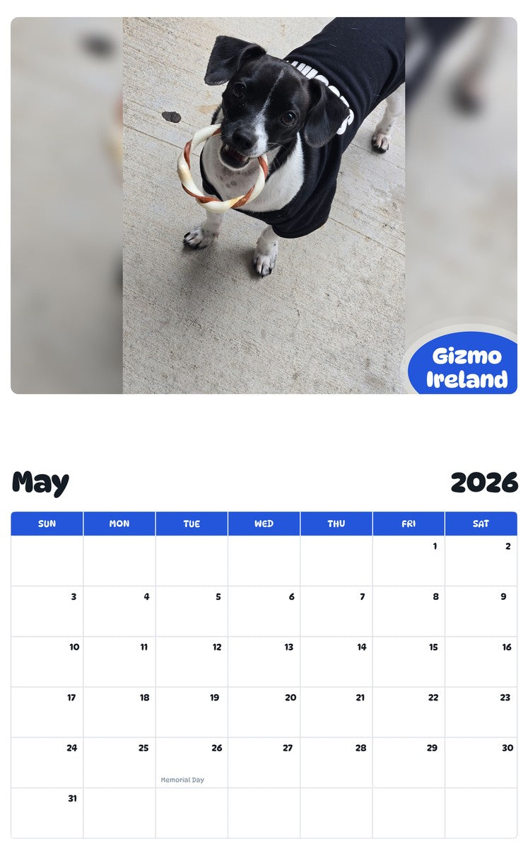 2026 - 2027 Gizmo Ireland - Pawidols Pet Calendar