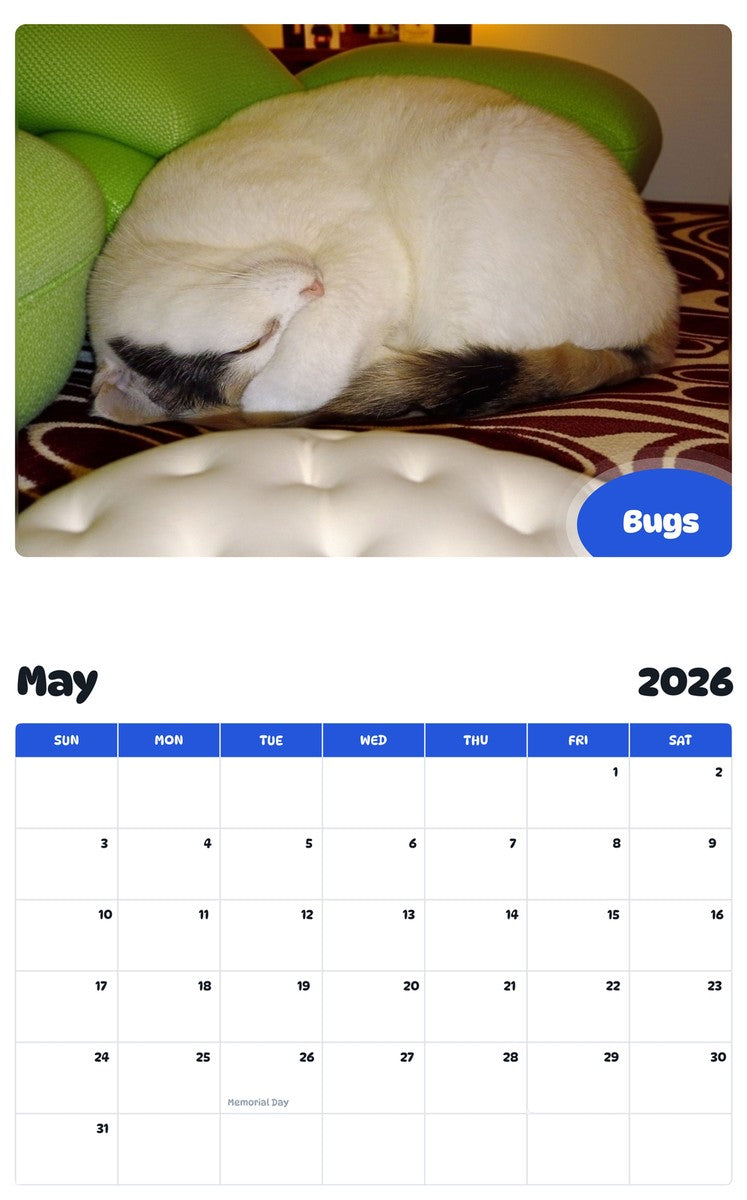 2026 - 2027 Bugs - Pawidols Pet Calendar