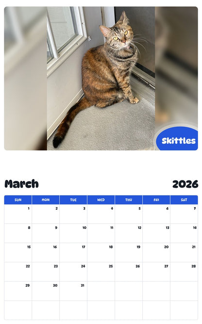 November 2025 - October 2026 Skittles - Pawidols Pet Calendar
