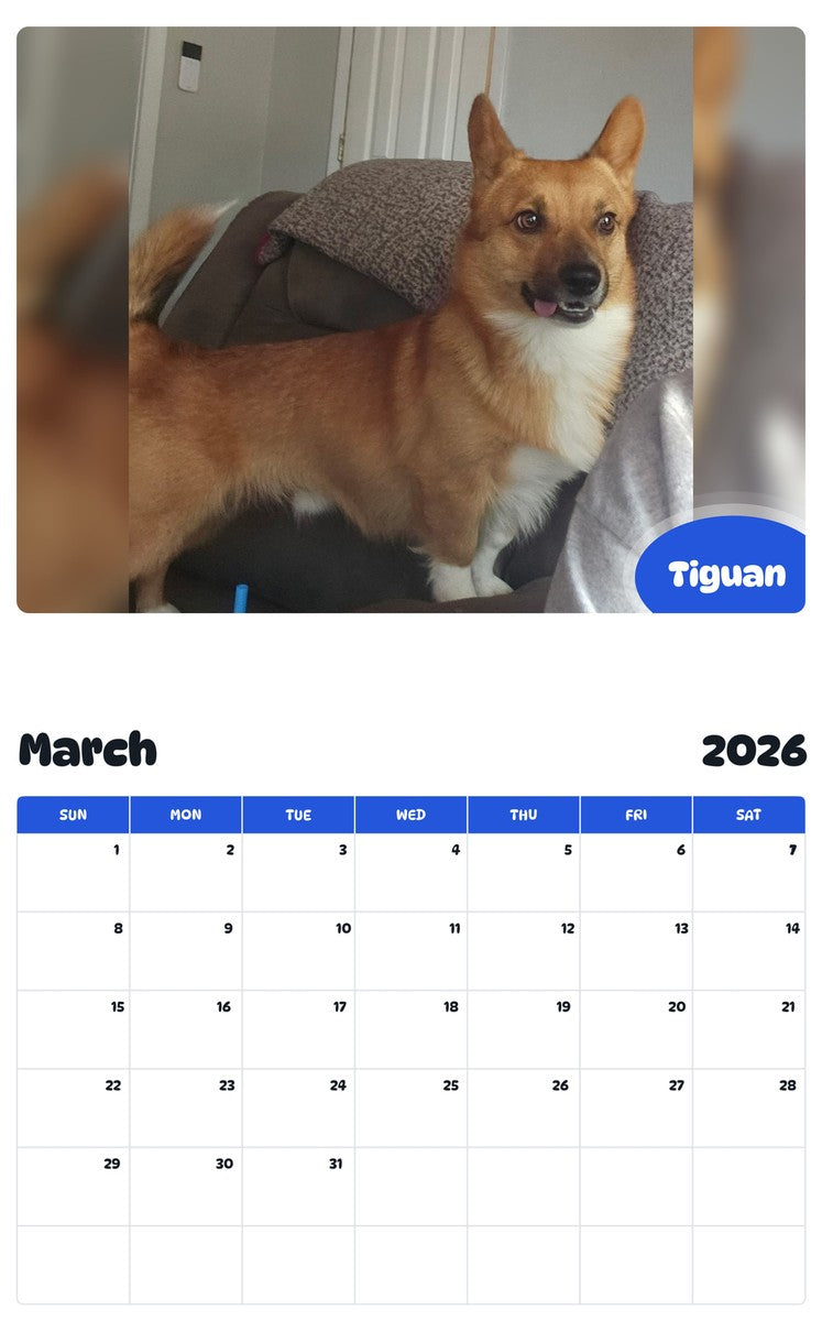 November 2025 - October 2026 Tiguan - Pawidols Pet Calendar