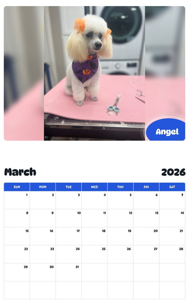 November 2025 - October 2026 Angel - Pawidols Pet Calendar
