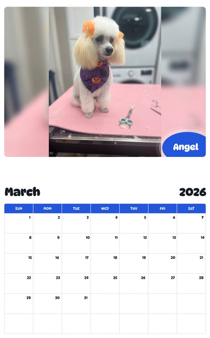 November 2025 - October 2026 Angel - Pawidols Pet Calendar