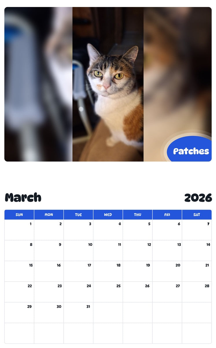 November 2025 - October 2026 Patches - Pawidols Pet Calendar