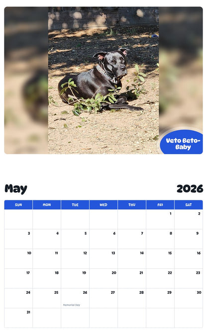 2026 - 2027 Veto Beto-Baby - Pawidols Pet Calendar