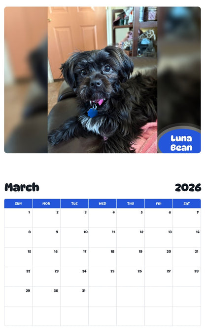 November 2025 - October 2026 Luna Bean - Pawidols Pet Calendar
