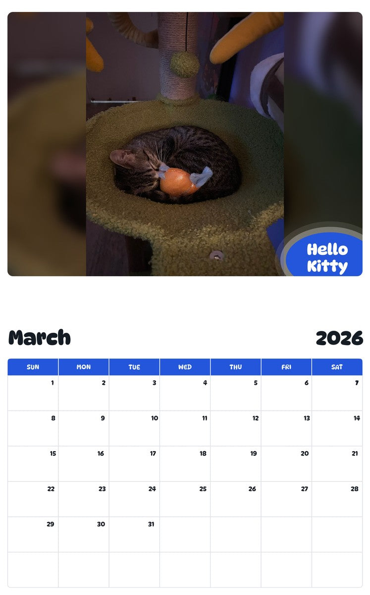 November 2025 - October 2026 Hello Kitty - Pawidols Pet Calendar