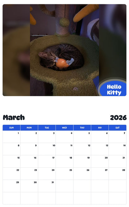 November 2025 - October 2026 Hello Kitty - Pawidols Pet Calendar