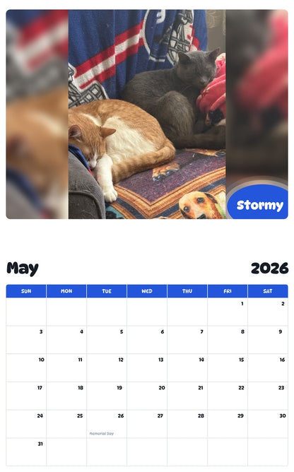 2026 - 2027 Stormy - Pawidols Pet Calendar