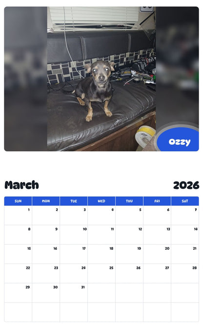 November 2025 - October 2026 Ozzy - Pawidols Pet Calendar