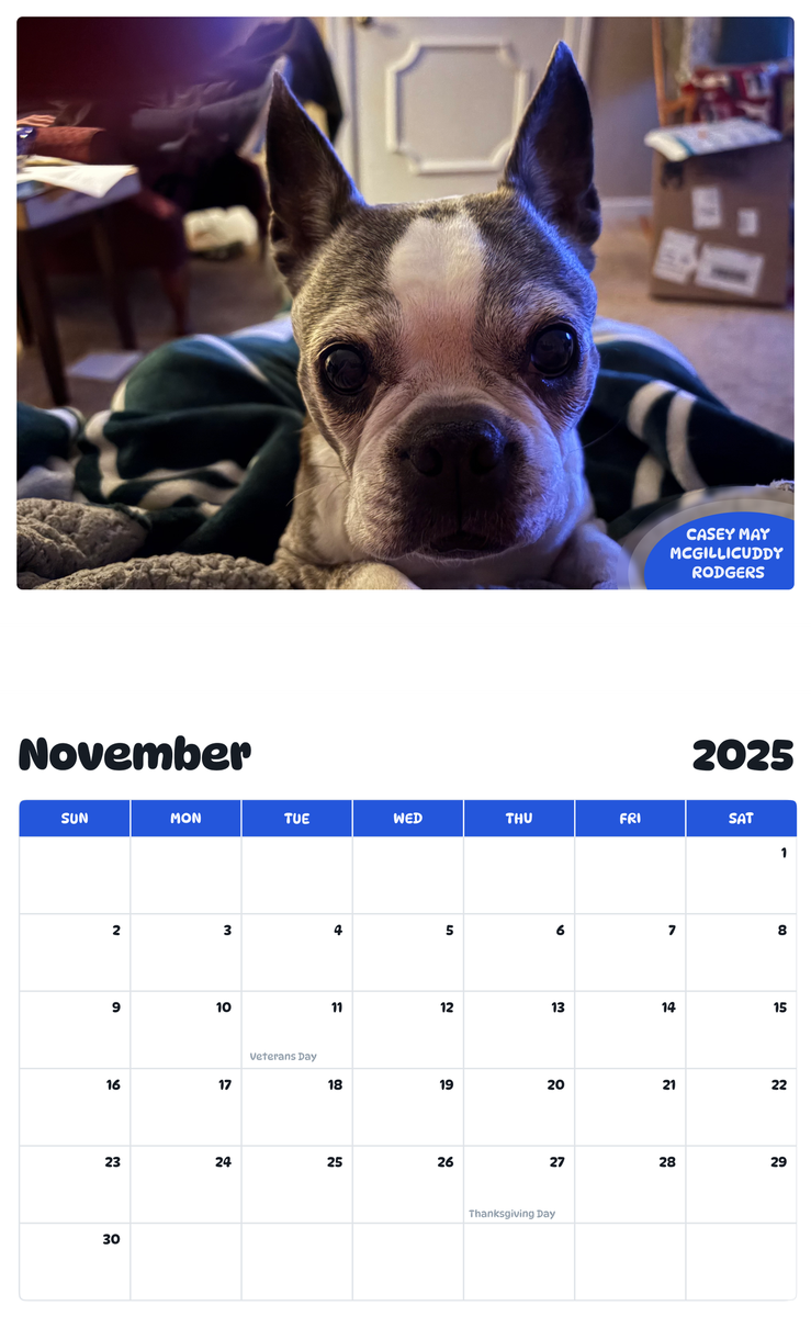 July 2025 - June 2026 Casey May McGillicuddy Rodgers - Pawidols Pet Calendar
