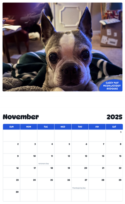 July 2025 - June 2026 Casey May McGillicuddy Rodgers - Pawidols Pet Calendar