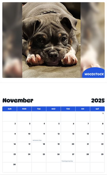 July 2025 - June 2026 Woodstock - Pawidols Pet Calendar