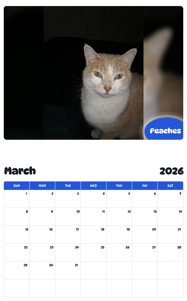 November 2025 - October 2026 Peaches - Pawidols Pet Calendar