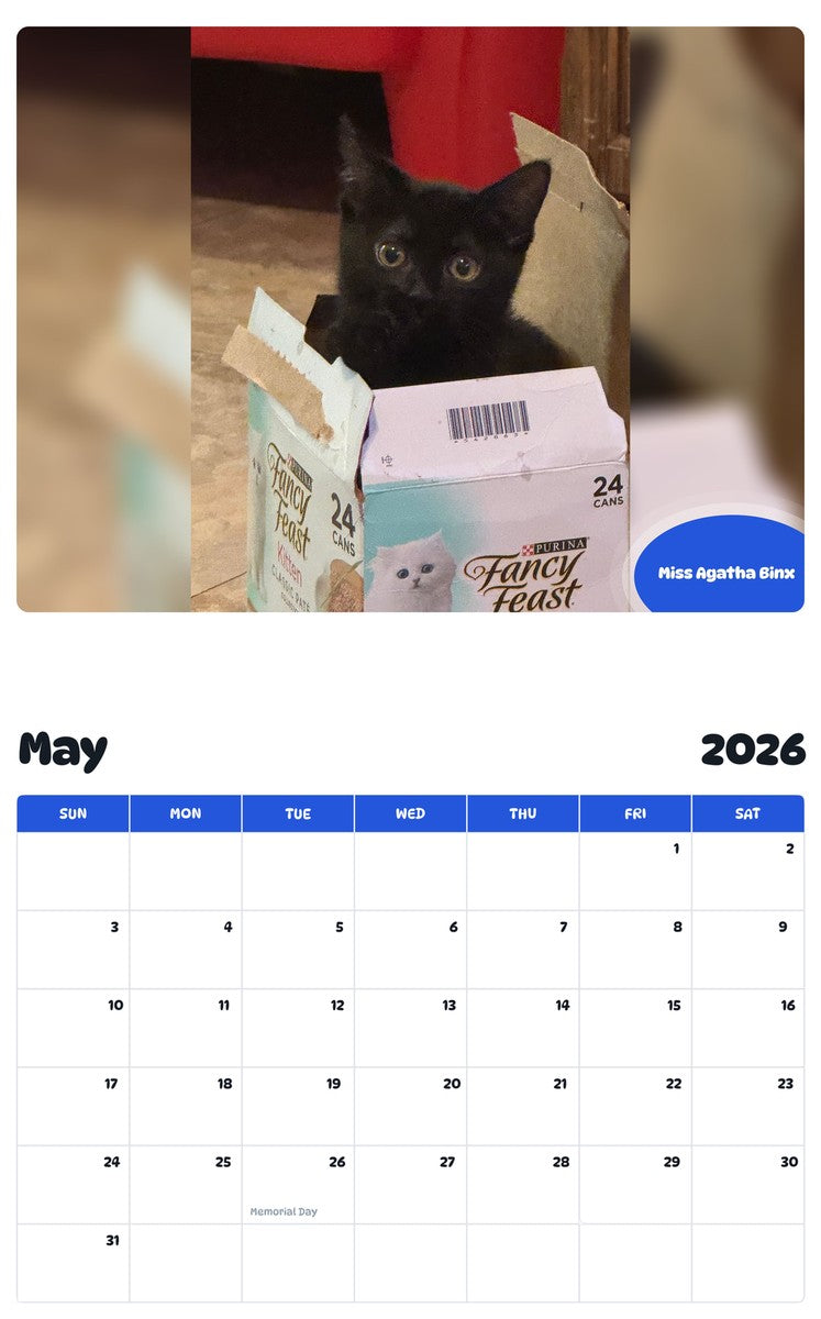 2026 - 2027 Miss Agatha Binx - Pawidols Pet Calendar