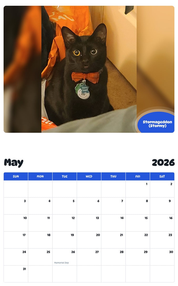 2026 - 2027 Stormageddon (Stormy) - Pawidols Pet Calendar
