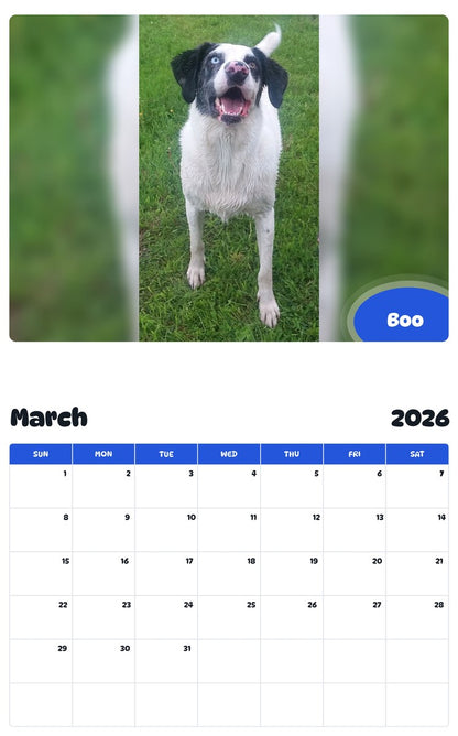November 2025 - October 2026 Boo - Pawidols Pet Calendar