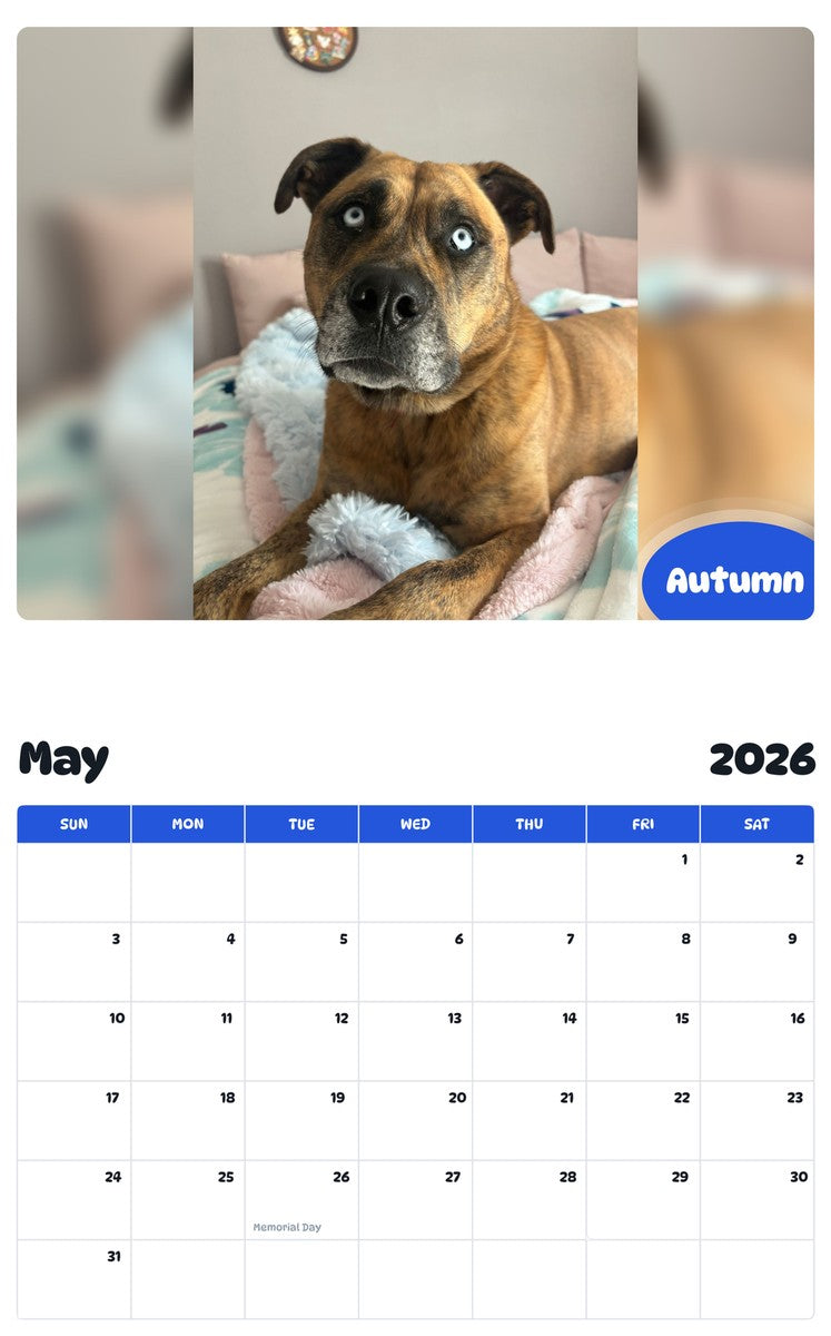 2026 - 2027 Autumn - Pawidols Pet Calendar