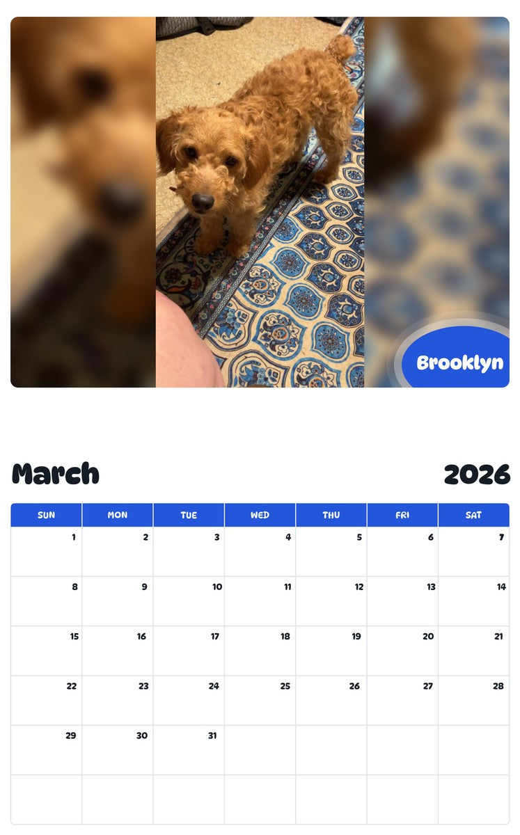 November 2025 - October 2026 Brooklyn - Pawidols Pet Calendar