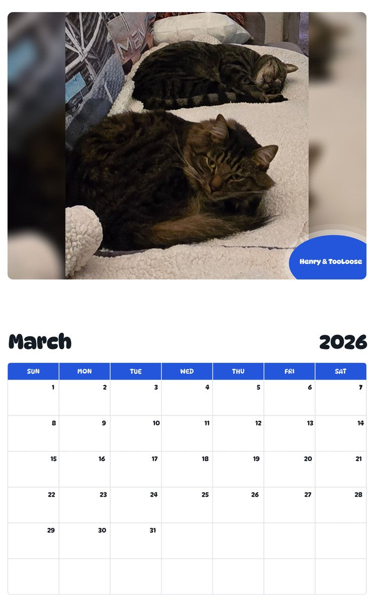 November 2025 - October 2026 Henry & TooLoose - Pawidols Pet Calendar
