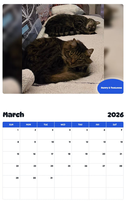 November 2025 - October 2026 Henry & TooLoose - Pawidols Pet Calendar
