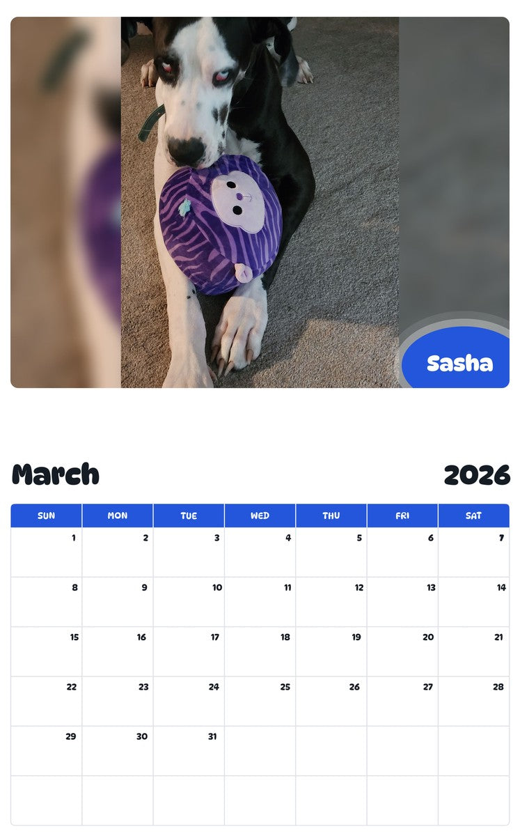 November 2025 - October 2026 Sasha - Pawidols Pet Calendar