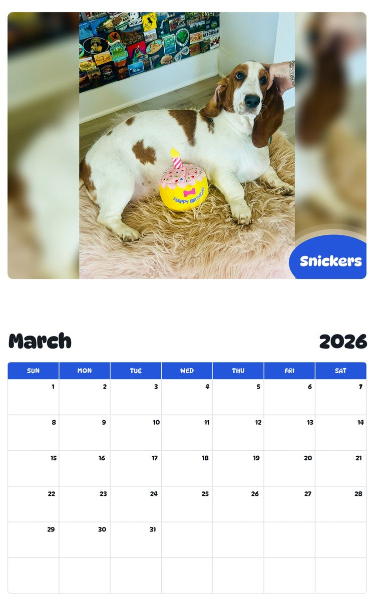 November 2025 - October 2026 Snickers - Pawidols Pet Calendar