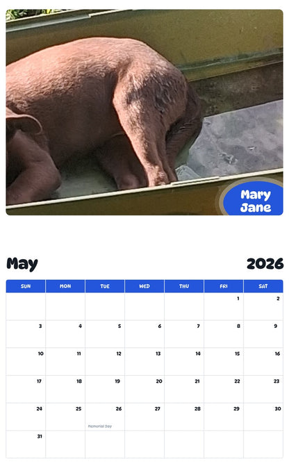 2026 - 2027 Mary Jane - Pawidols Pet Calendar