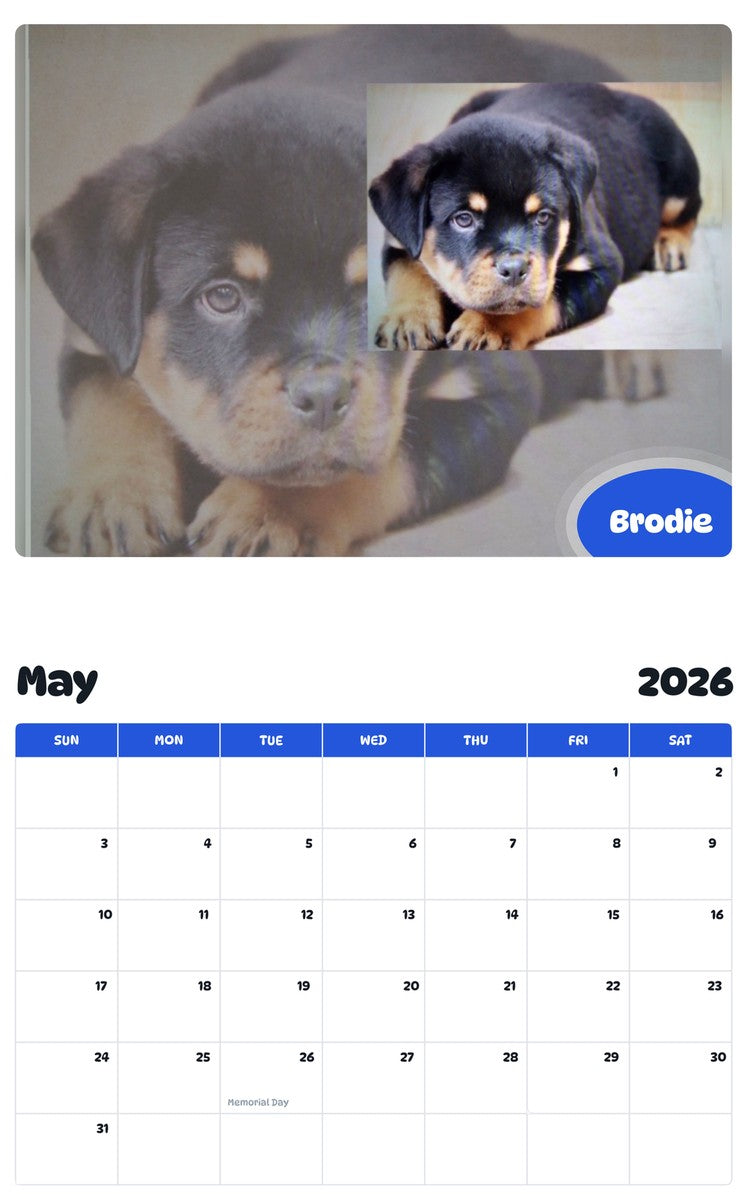 2026 - 2027 Brodie - Pawidols Pet Calendar