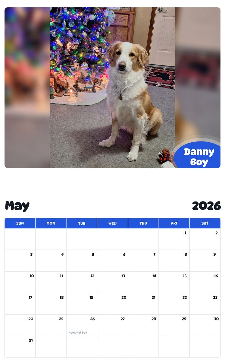 2026 - 2027 Danny Boy - Pawidols Pet Calendar