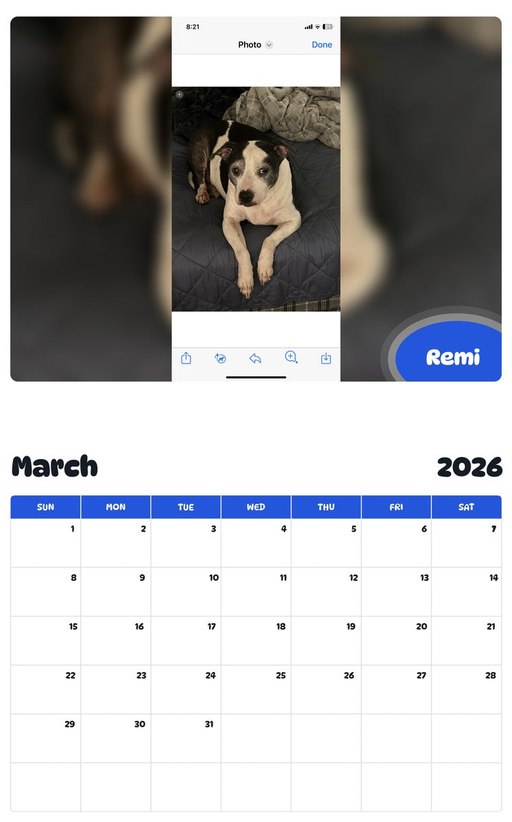 November 2025 - October 2026 Remi - Pawidols Pet Calendar