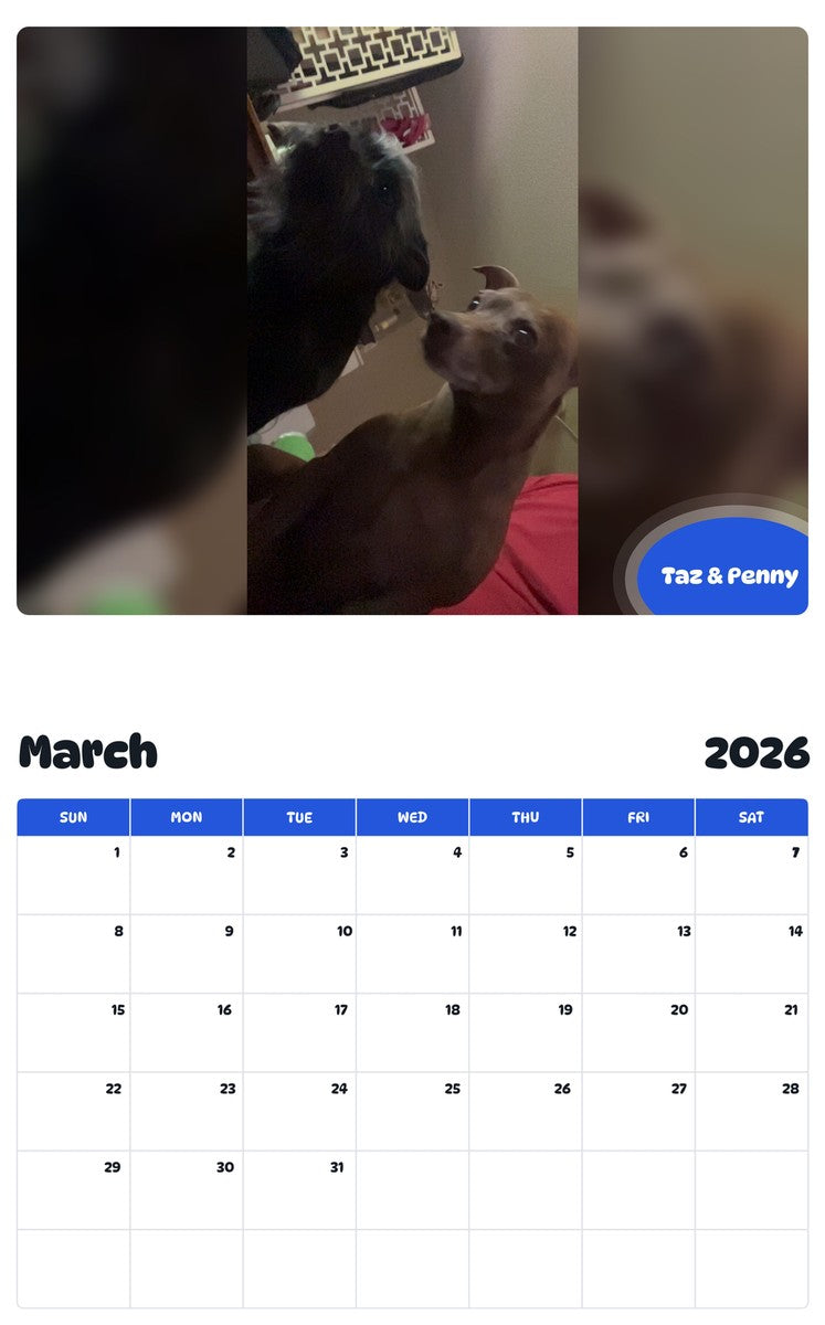 November 2025 - October 2026 Taz & Penny - Pawidols Pet Calendar