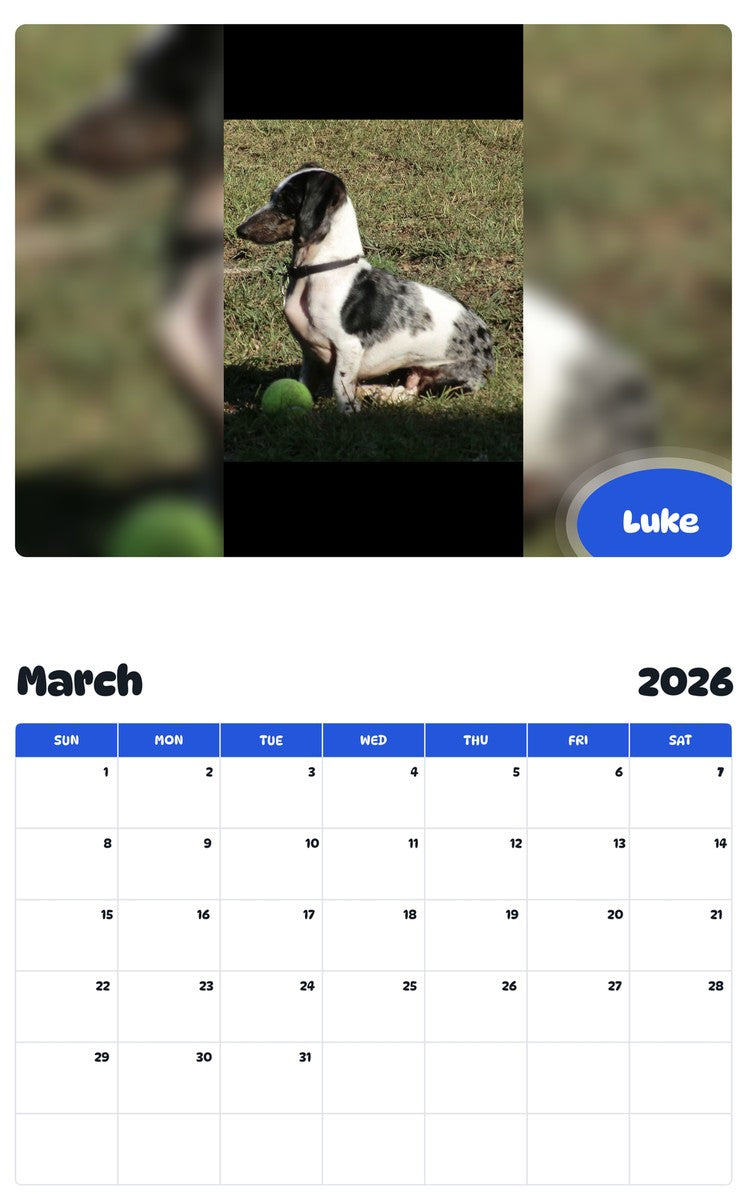 November 2025 - October 2026 Luke - Pawidols Pet Calendar