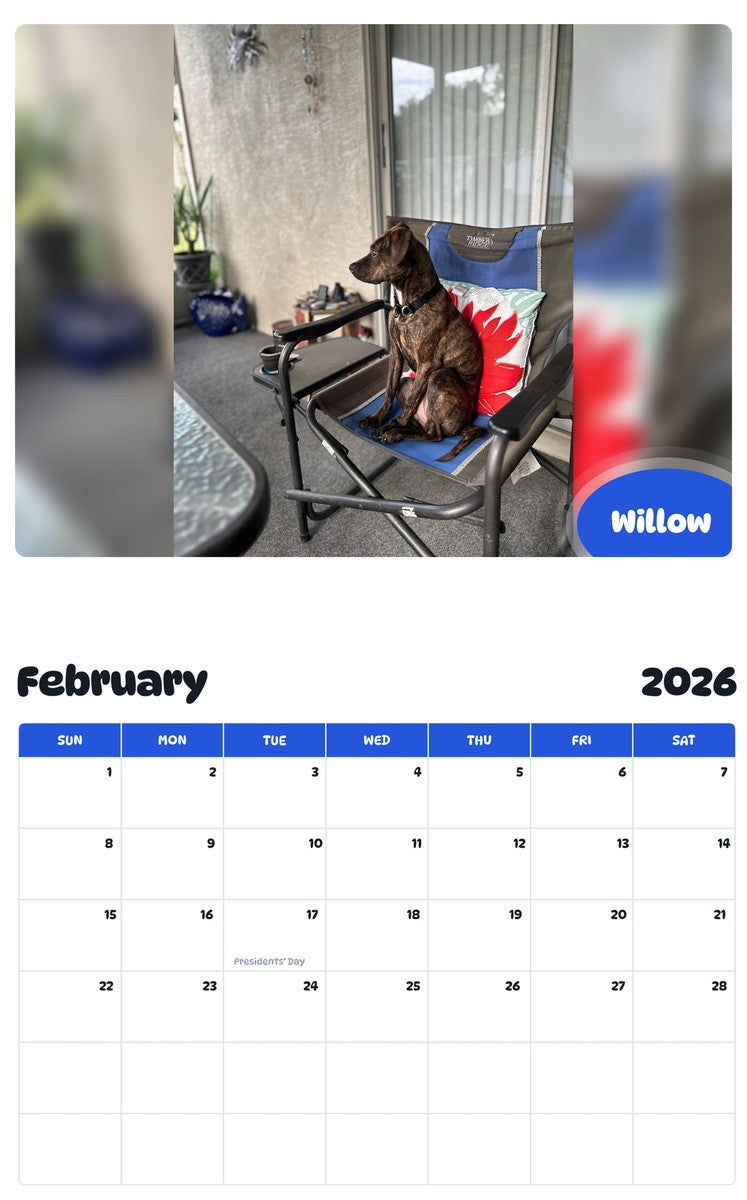 October 2025 - September 2026 Willow - Pawidols Pet Calendar