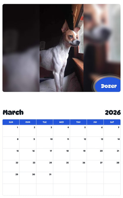 November 2025 - October 2026 Dozer - Pawidols Pet Calendar