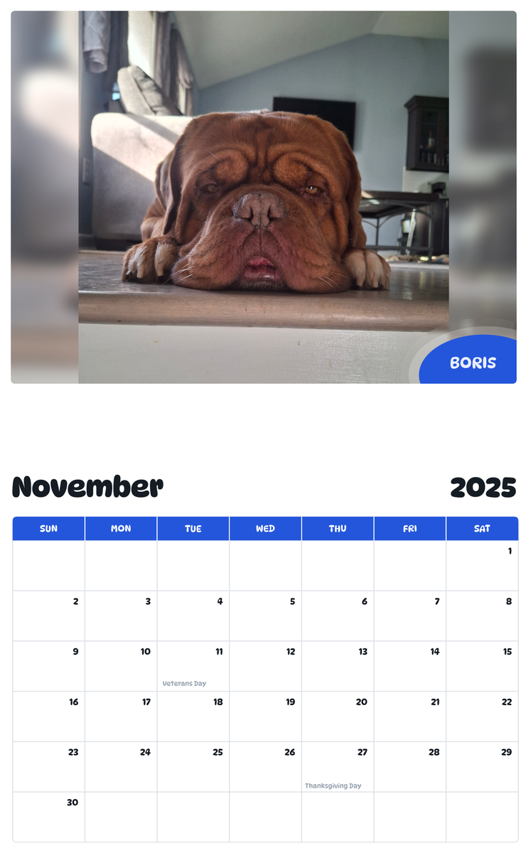July 2025 - June 2026 Boris - Pawidols Pet Calendar
