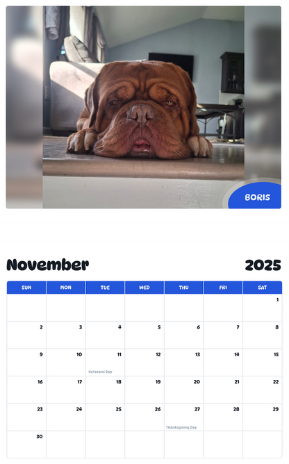 July 2025 - June 2026 Boris - Pawidols Pet Calendar