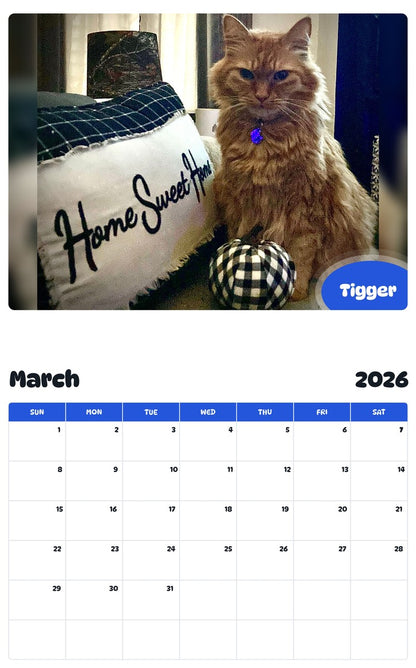 November 2025 - October 2026 Tigger - Pawidols Pet Calendar