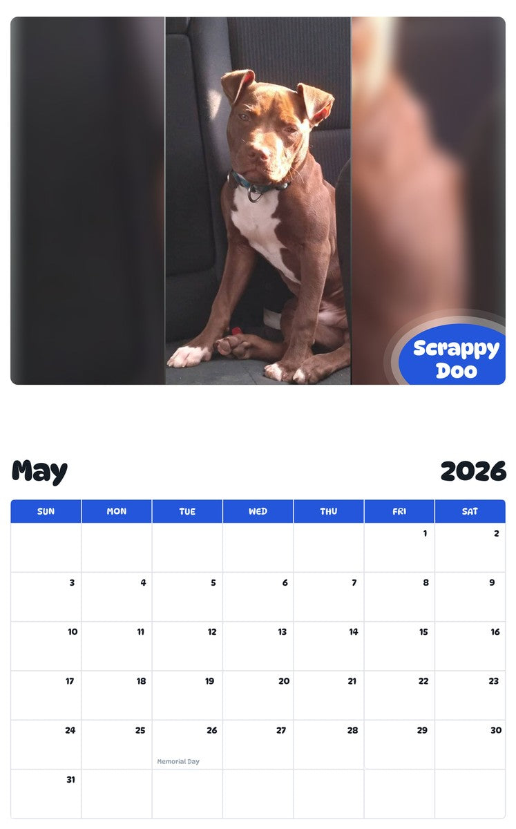 2026 - 2027 Scrappy Doo - Pawidols Pet Calendar