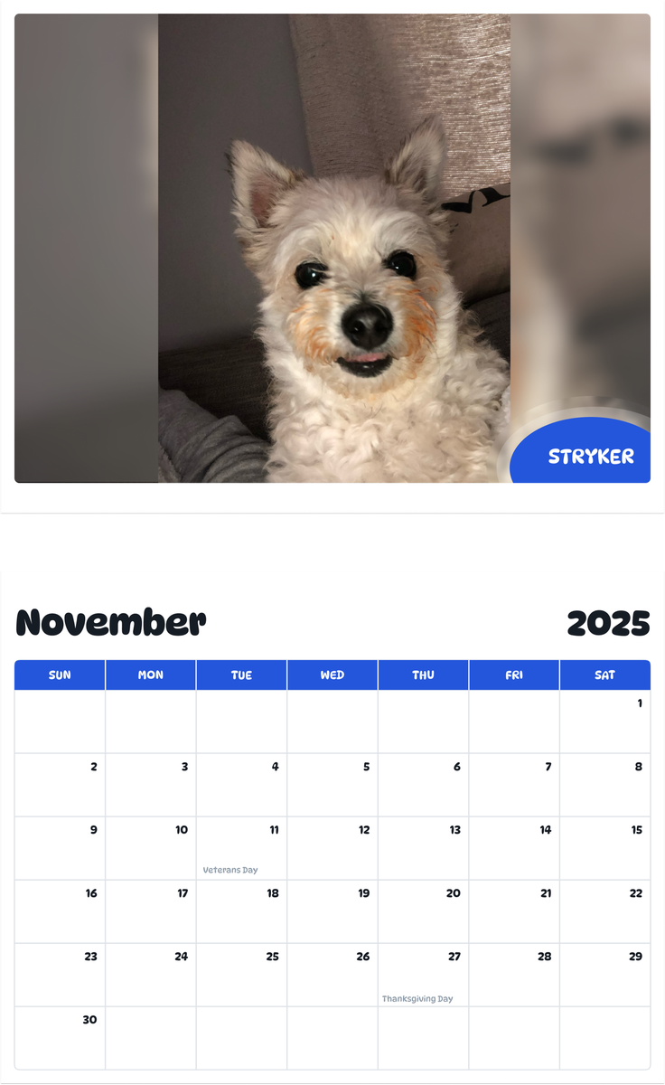 July 2025 - June 2026 Stryker - Pawidols Pet Calendar