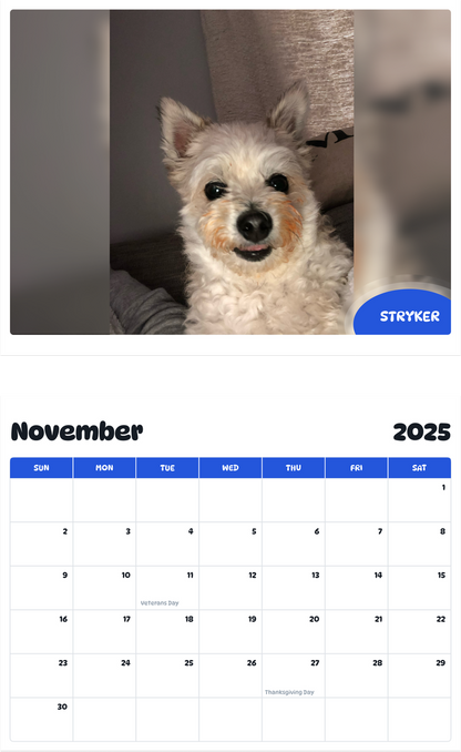 July 2025 - June 2026 Stryker - Pawidols Pet Calendar