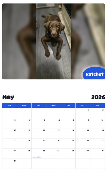 2026 - 2027 Ratchet - Pawidols Pet Calendar