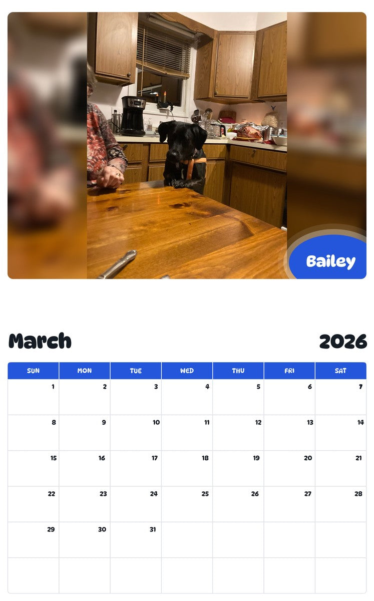 November 2025 - October 2026 Bailey - Pawidols Pet Calendar