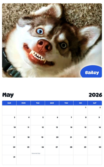 2026 - 2027 Bailey - Pawidols Pet Calendar