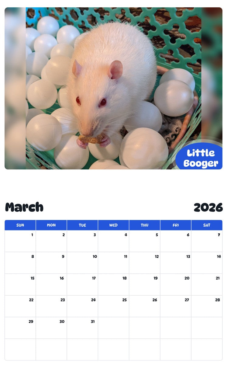 November 2025 - October 2026 Little Booger - Pawidols Pet Calendar
