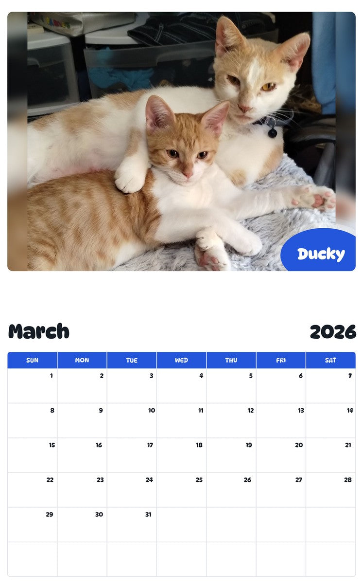 November 2025 - October 2026 Ducky - Pawidols Pet Calendar
