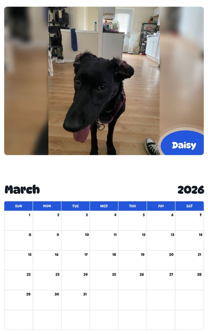 November 2025 - October 2026 Daisy - Pawidols Pet Calendar