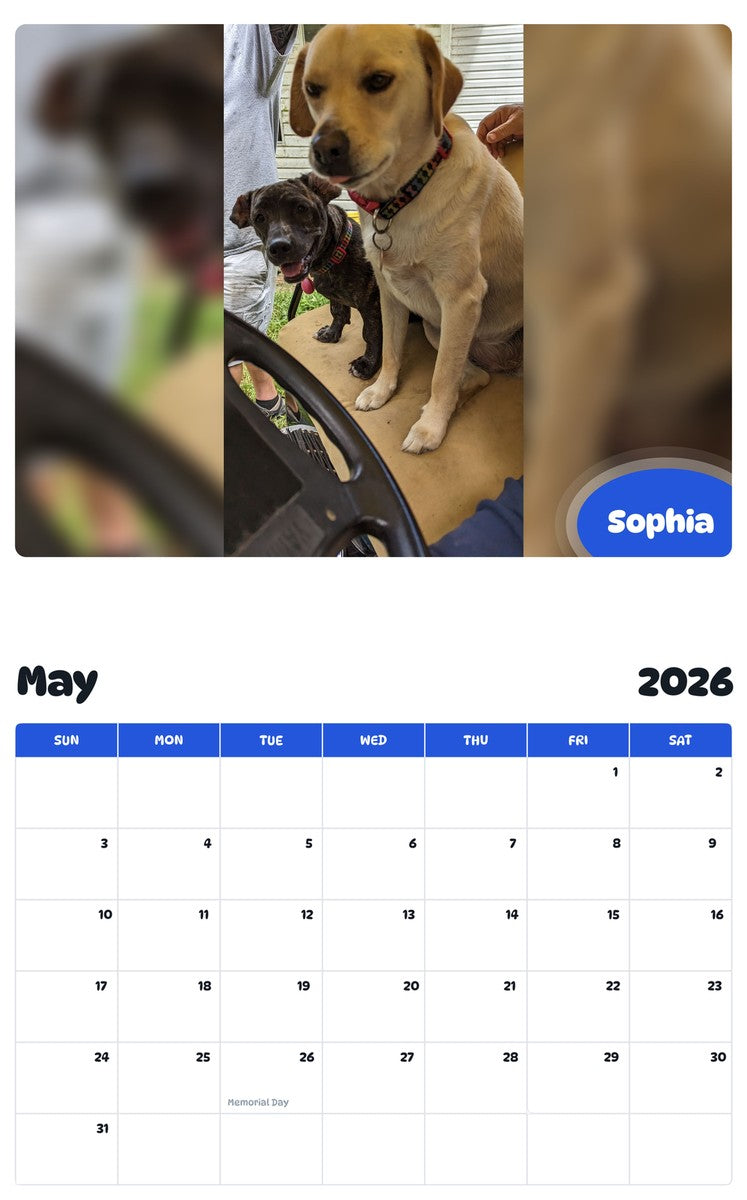 2026 - 2027 Sophia - Pawidols Pet Calendar