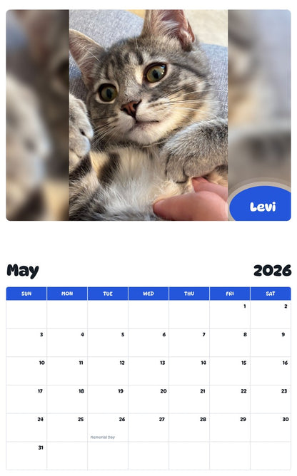 2026 - 2027 Levi - Pawidols Pet Calendar