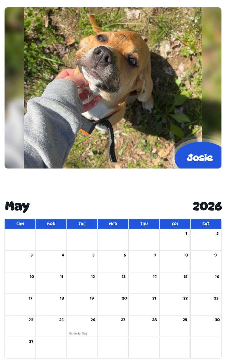 2026 - 2027 Josie - Pawidols Pet Calendar